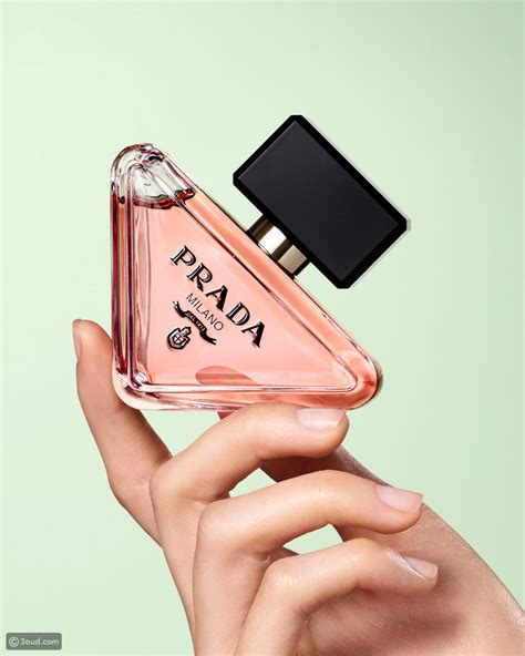 perfume prada paradoxe primor|Prada paradoxe.